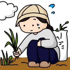 آیا ازدواج بعد از همباشی پایدار است