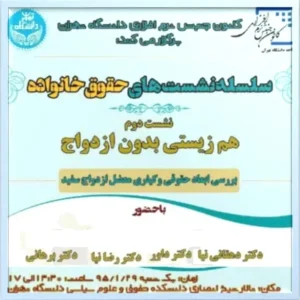 خطای برهانی در فهم ازدواج سفید و کارآمدی فقه3