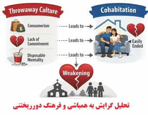 تحلیل گرایش به همباشی و فرهنگ دورریختنی